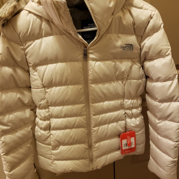 Jacket - Picture 4 of 8